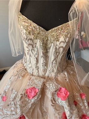 Cinderella gown for all occasions